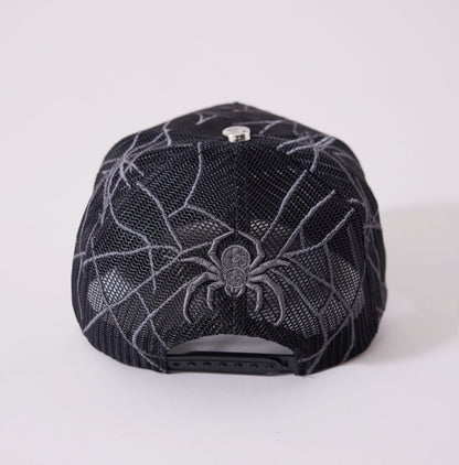 PREMIUM CAP: ARACNOX